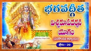 Bhagavad Gita Telugu | భగవద్గీత |Vishwaroopa Darshana Yoga | Chapter 11 - Verse 20 | TeluguTraditions