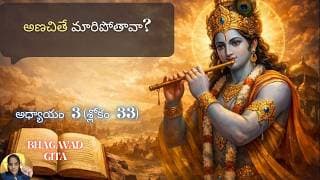Bhagavad Gita chapter 3 verse 33|karma yoga| నీ స్వభావం మారుతుందా? | గీత 3.33||