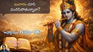 Bhagavad Gita chapter 6 verse08 |karma- sanyasa yoga| పరిపక్వమైన యోగి లక్షణాన్ని విను |భవద్గీత 6.08|