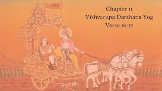 Bhagavad Gita Chapter 11 Verse 16 and 17 English