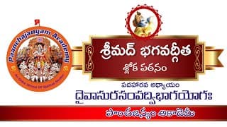 అధ్యాయం 16 I దైవాసుర సంపద్ విభాగ యోగ: I భగవద్గీత I Chapter 16 I Daivasura Sampad Vibhaaga Yogam