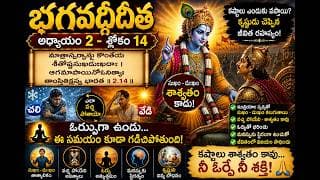 Chapter 2 Slokam 14 తుఫానులో లైట్ హౌస్ సమత్వం