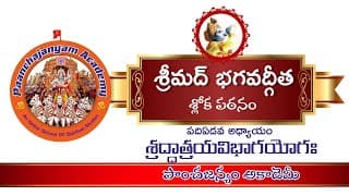 అధ్యాయం 17 I శ్రద్ధాత్రయ విభాగ యోగ: I భగవద్గీత I Chapter 17 I Shraddha Traya Vibhaga Yogam I Telugu
