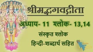 Shloka 11.13,14 of Bhagavad Gita with Hindi word meanings