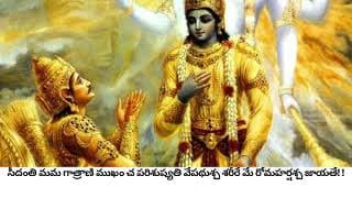 శ్రీ భగవద్గీత మొదటి అధ్యాయము 28,29 శ్లోకాలు