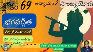 Bhagavad Gita chapter 2 verse 69||sankyayoga|| భగవద్గీత 2వ అధ్యాయం శ్లోకం 69|| divine touch telugu
