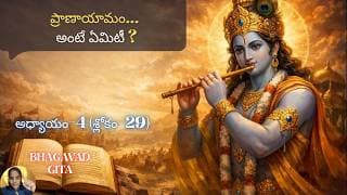 Bhagavad Gita chapter 4 verse 29|jnana yoga|ప్రాణం, అపానం|జ్ఞానయోగః||భగవద్గీత 4.29|