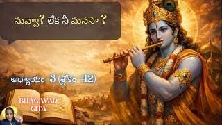 Bhagavad Gita chapter 3 verse 42|karma yoga|నీవు ఇంద్రియాలకంటే గొప్పవాడివి. | 3.42||