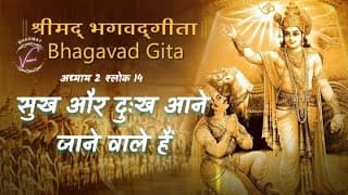 सुख और दुःख आनेजानेवाले और अनित्य हैं | भगवद गीता उपदेश: अध्याय 2 श्लोक 14