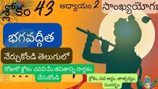 Bhagavad Gita chapter 2 verse 43||sankyayoga|| భగవద్గీత 2వ అధ్యాయం శ్లోకం 43|| divine touch telugu