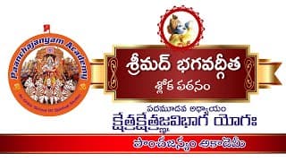 అధ్యాయం 13 | క్షేత్రక్షేత్రజ్ఞ విభాగ యోగః | భగవద్గీత IChapter 13 I Kshetra Kshetragna Vibhaga Yogam
