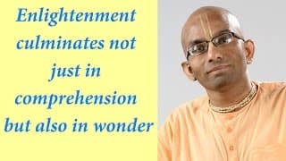 Enlightenment culminates not just in comprehension but also in wonder (Gita 18.77)